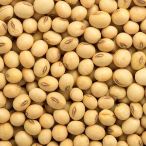 Non GMO Soya Beans for Sale, Brazil Non-GMO Soya Beans Exporters, Exportateurs de soja non OGM du Brésil, Exportadores de soja não transgênico do Brasil, 巴西非转基因大豆出口商, Exportadores de soja no modificada genéticamente de Brasil, مصدرو فول الصويا غير المعدل وراثياً من البرازيل