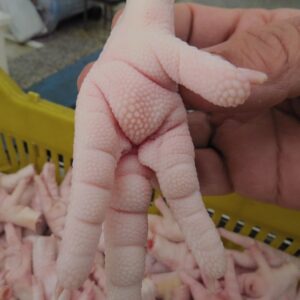 Chicken Feet for Sale, Brazil Chicken Paws Exporters, Exportateurs de pattes de poulet du Brésil, Exportadores de patas de frango do Brasil, 巴西鸡爪出口商, Exportadores de patas de pollo de Brasil, مصدرو أرجل الدجاج من البرازيل