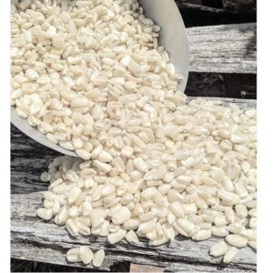 White Corn for Animal Feed, Brazil White Corn for Animal Feed Exporters, Exportateurs de maïs blanc pour alimentation animale du Brésil, Exportadores de milho branco para ração animal do Brasil, 巴西饲料用白玉米出口商, Exportadores de maíz blanco para alimentación animal de Brasil, مصدرو الذرة البيضاء لعلف الحيوانات من البرازيل