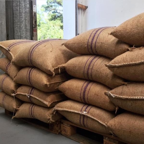 Cocoa Beans for Sale