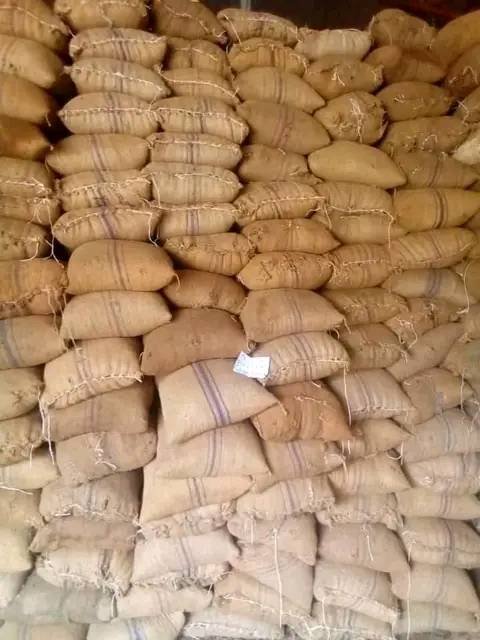Cocoa Beans for Sale