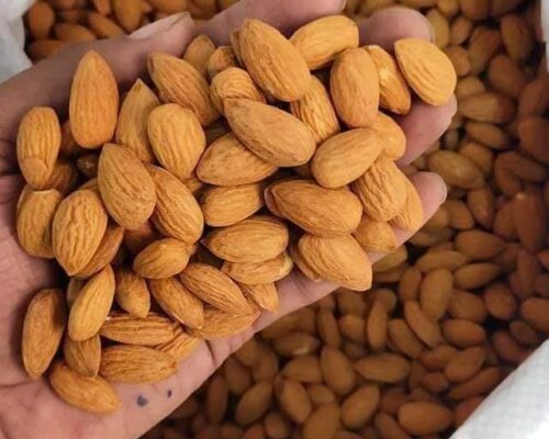 Almond Nuts for Sale, Brazil Almond Nuts Exporters, Exportateurs d’amandes du Brésil, Exportadores de amêndoas do Brasil, 巴西杏仁出口商, Exportadores de almendras de Brasil, مصدرو اللوز من البرازيل