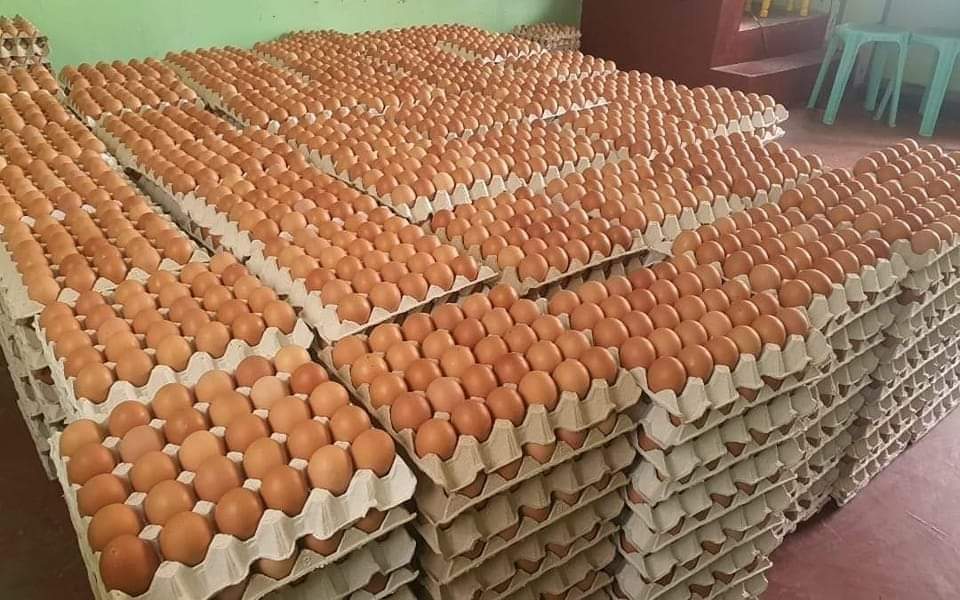 Chicken Eggs for Sale