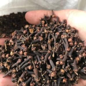 Cloves for Sale, Brazil Cloves Exporters, Exportateurs de clous de girofle du Brésil, Exportadores de cravo-da-índia do Brasil, 巴西丁香出口商, Exportadores de clavo de olor de Brasil, مصدرو القرنفل من البرازيل