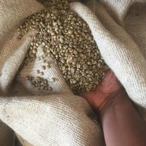 Coffee Beans for Sale, Brazil Coffee Beans Exporters, Exportateurs de grains de café du Brésil, Exportadores de grãos de café do Brasil, 巴西咖啡豆出口商, Exportadores de granos de café de Brasil, مصدرو حبوب البن من البرازيل