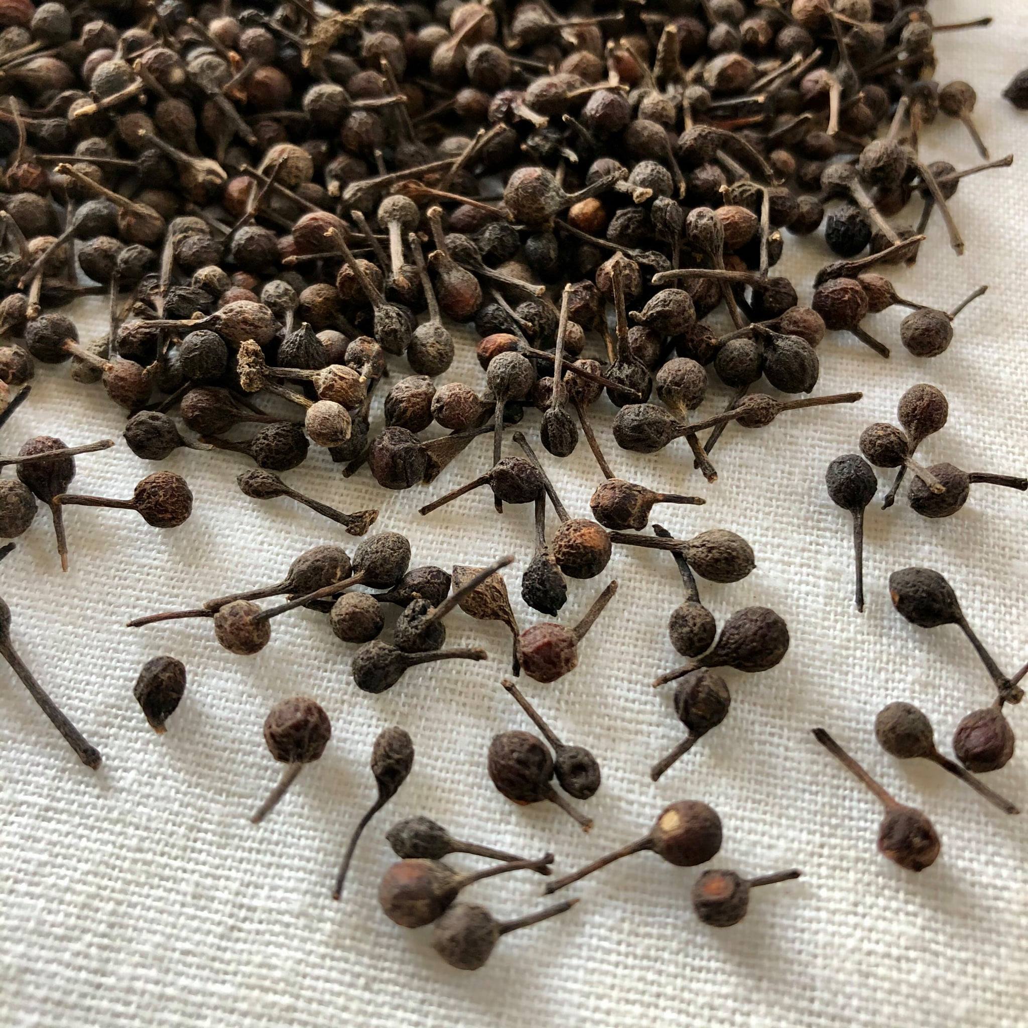 Cubeb Pepper for Sale, Brazil Cubeb Pepper Exporters, Exportateurs de poivre cubèbe du Brésil, Exportadores de pimenta cubeba do Brasil, 巴西尾胡椒出口商, Exportadores de pimienta cubeba de Brasil, مصدرو فلفل الكوبيبة من البرازيل