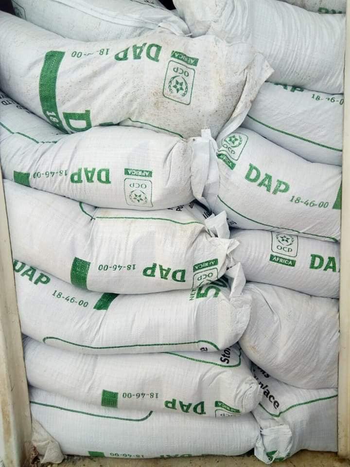 DAP - 1di-Ammonium Phosphate for Sale, Brazil DAP Fertilizer Exporters, Exportateurs d’engrais DAP du Brésil, Exportadores de fertilizante DAP do Brasil, 巴西DAP肥料出口商, Exportadores de fertilizante DAP de Brasil, مصدرو سماد DAP من البرازيل