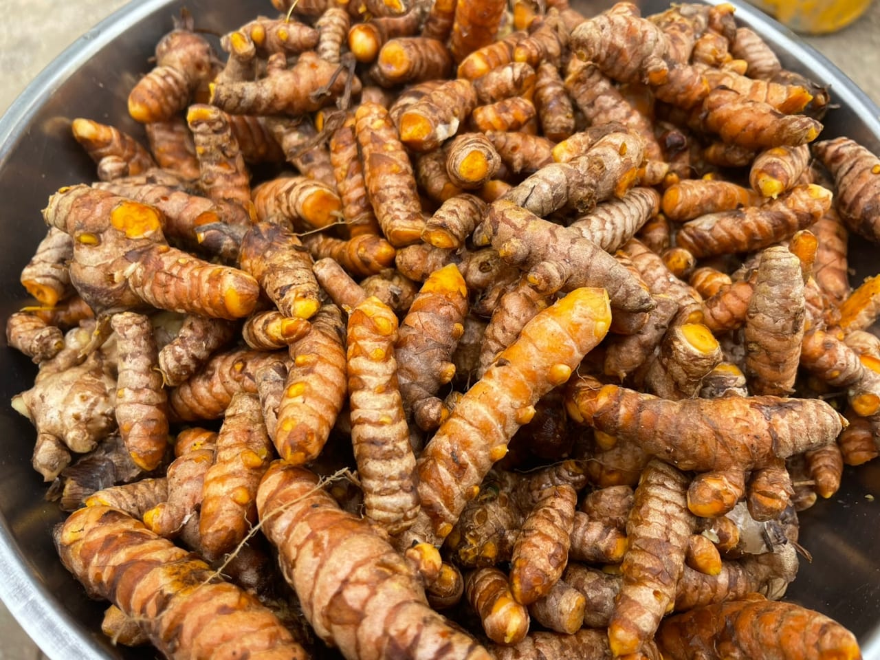 Organic Turmeric for Sale