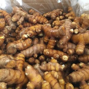 Organic Turmeric for Sale, Brazil Organic Turmeric Exporters, Exportateurs de curcuma biologique du Brésil, Exportadores de cúrcuma orgânico do Brasil, 巴西有机姜黄出口商, Exportadores de cúrcuma orgánica de Brasil, مصدرو الكركم العضوي من البرازيل