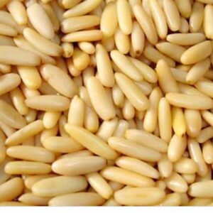 Pine Nuts for Sale, Brazil Pine Nuts Exporters, Exportateurs de pignons de pin du Brésil, Exportadores de pinoli do Brasil, 巴西松子出口商, Exportadores de piñones de Brasil, مصدرو الصنوبر من البرازيل