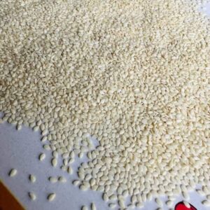 Sesame Seeds for Sale, Brazil Sesame Seeds Exporters, Exportateurs de graines de sésame du Brésil, Exportadores de sementes de gergelim do Brasil, 巴西芝麻出口商, Exportadores de semillas de sésamo de Brasil, مصدرو بذور السمسم من البرازيل
