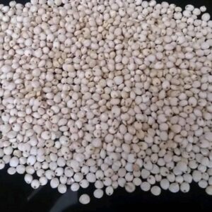 White and Red Sorghum, Brazil White and Red Sorghum Exporters, Exportateurs de sorgho blanc et rouge du Brésil, Exportadores de sorgo branco e vermelho do Brasil, 巴西白红高粱出口商, Exportadores de sorgo blanco y rojo de Brasil, مصدرو الذرة البيضاء والحمراء من البرازيل