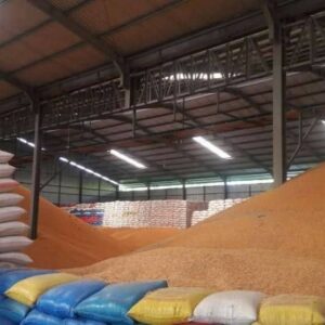 Yellow Corn for Animal Feed, Brazil Yellow Corn for Animal Feed Exporters, Exportateurs de maïs jaune pour alimentation animale du Brésil, Exportadores de milho amarelo para ração animal do Brasil, 巴西饲料用黄玉米出口商, Exportadores de maíz amarillo para alimentación animal de Brasil, مصدرو الذرة الصفراء لعلف الحيوانات من البرازيل