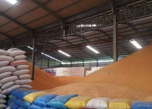Yellow Corn for Animal Feed, Brazil Yellow Corn for Animal Feed Exporters, Exportateurs de maïs jaune pour alimentation animale du Brésil, Exportadores de milho amarelo para ração animal do Brasil, 巴西饲料用黄玉米出口商, Exportadores de maíz amarillo para alimentación animal de Brasil, مصدرو الذرة الصفراء لعلف الحيوانات من البرازيل