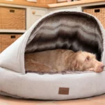 Pet Clothing Shop Shop Pet Food Grooming Services Offered at Muntah Claws - Muntah Claws Pet Shop and Groomig Services Offered in Johannesburg Gauteng