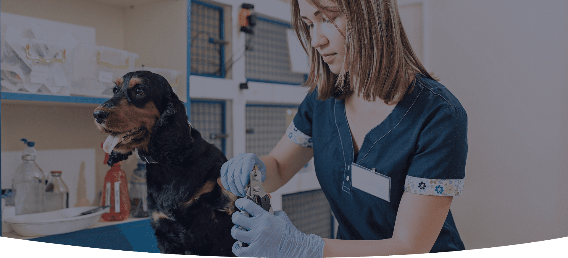 Pet Care Poster Muntah Claws Logo Muntah Claws Pet Shop and Groomig Services Offered in Johannesburg Gauteng