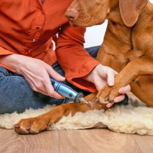 Giant Dog Nail Clipping Johannesburg | Muntah Claws