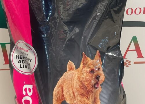 Eukanuba Adult Small Breed 15KG